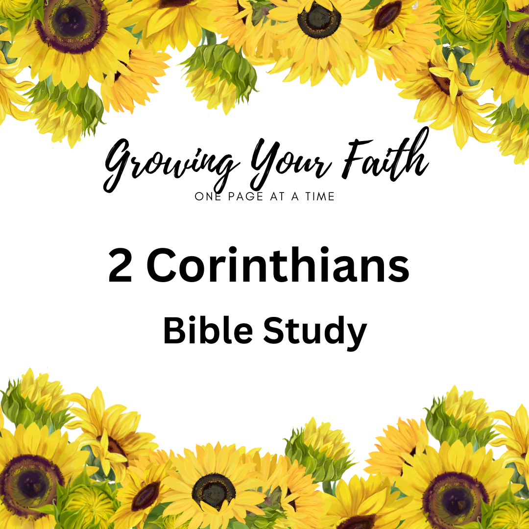 How to Study the Bible Step-by-Step