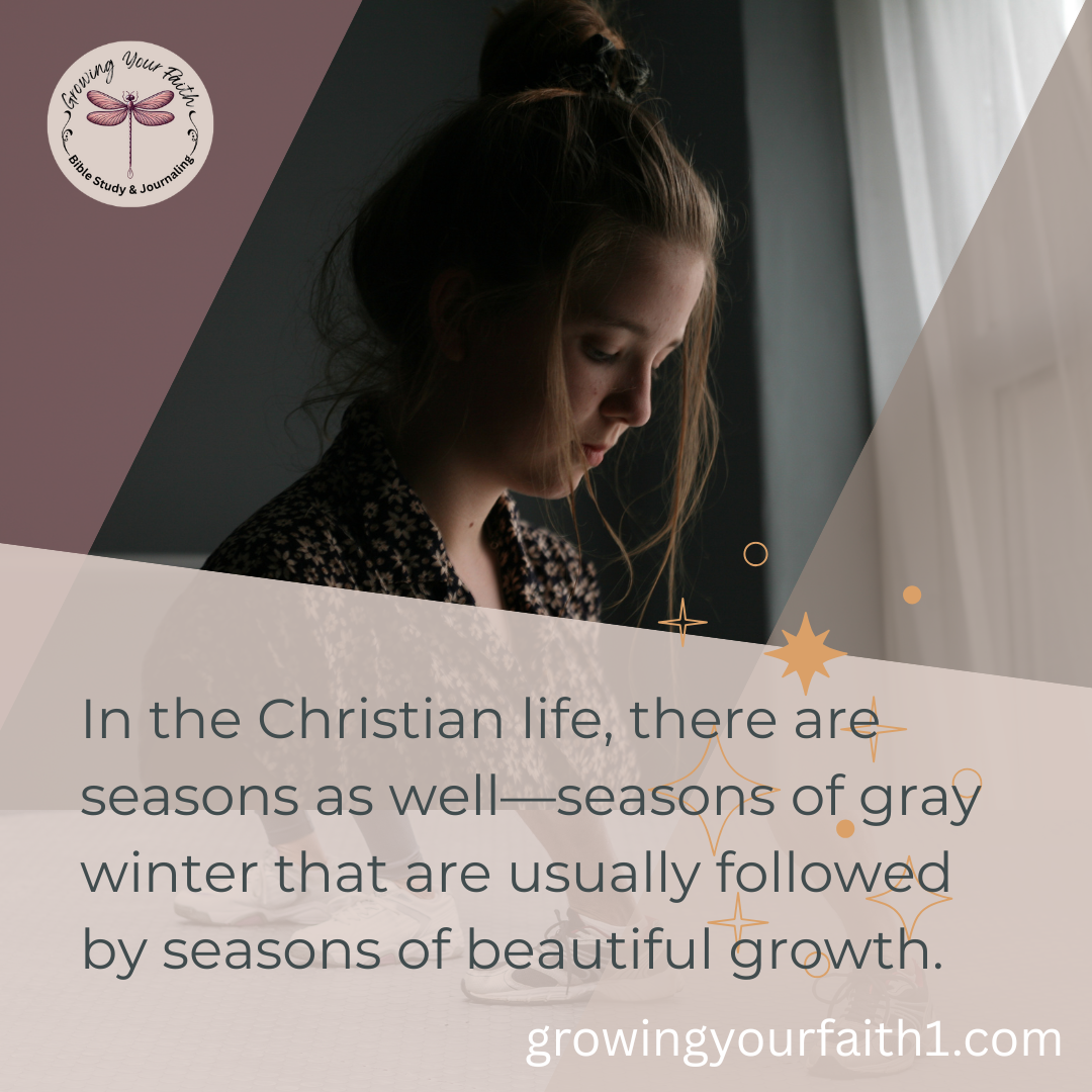 Finding Hope in Seasons of Winter