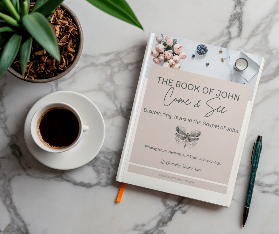 Come & See! Discovering Jesus in the Gospel of John